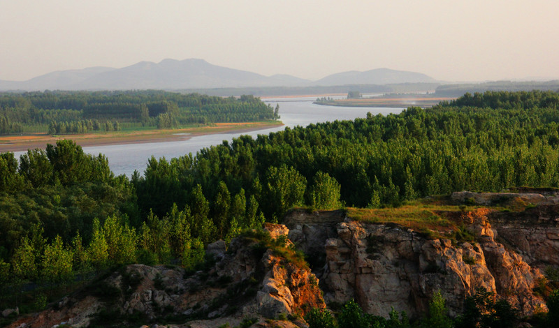 山东东阿黄河国家森林公园