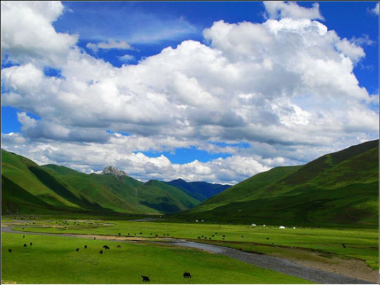  p>川西高寒草原位于 a href="#" data-lemmaid="212569">四川 /a> a