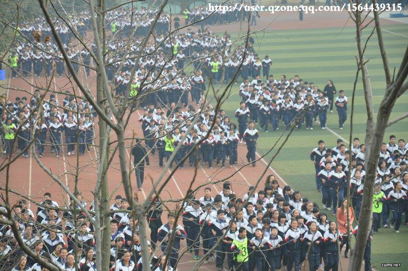  p> a target="_blank" href="/item/成都龙泉二中/4218084" data