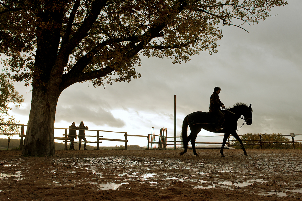  p>《神驹贾鲁普》是由法国百代电影公司出品的剧情片,由 a target="