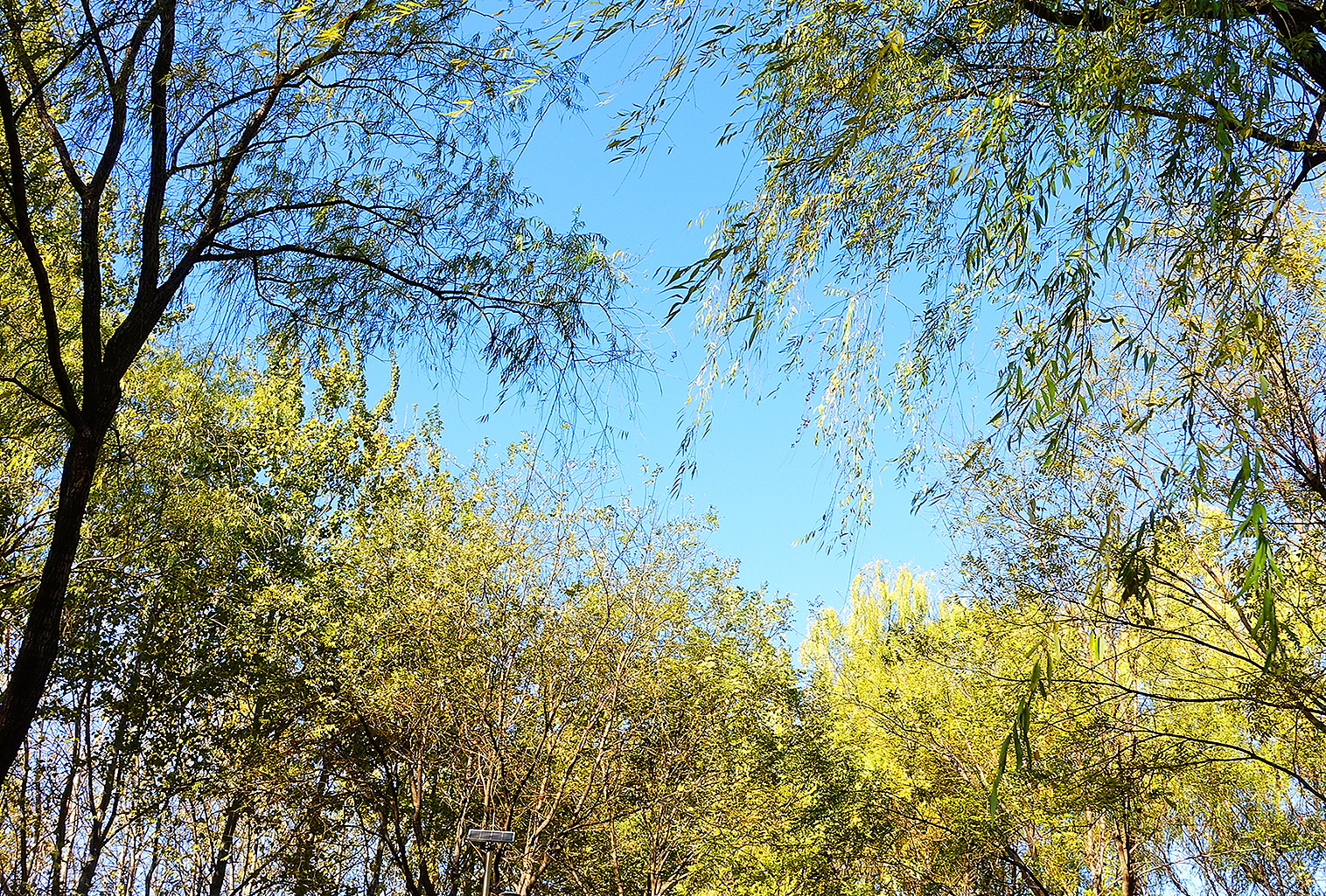  p>日月岛是大庆连环湖度假区西部一个面积约1平方公里的湖中小岛