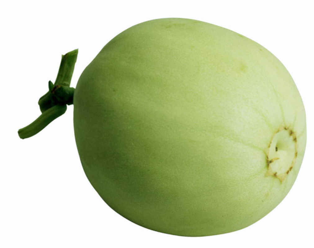 cucumis melo var. saccharinus