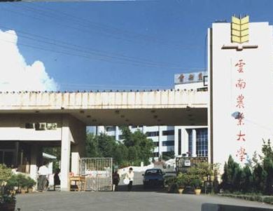 云南农业大学图书馆