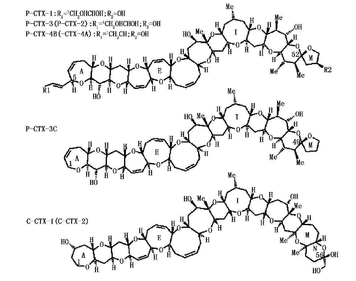 强100倍,是已知的危害性较严重的赤潮生物毒素之一,已发现3类雪卡毒素
