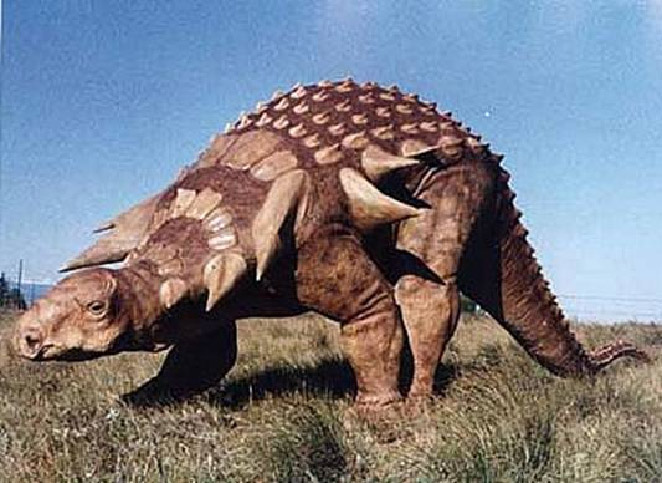  p>盾甲龙类(ankylosaurus)名字意为"装甲"或"僵硬
