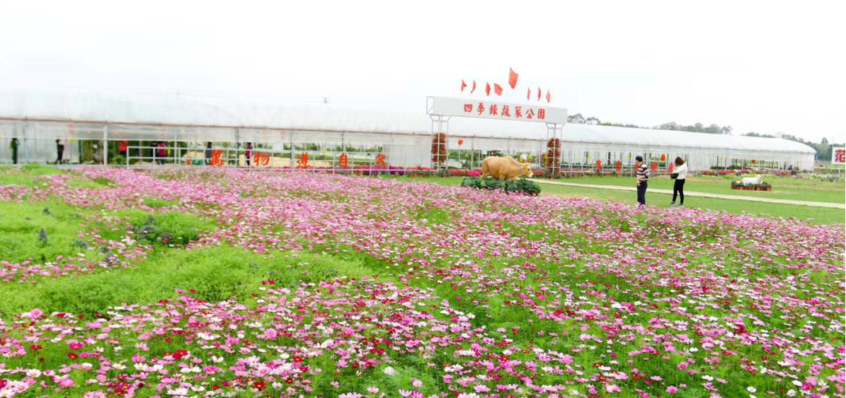 惠州市四季绿农产品有限公司