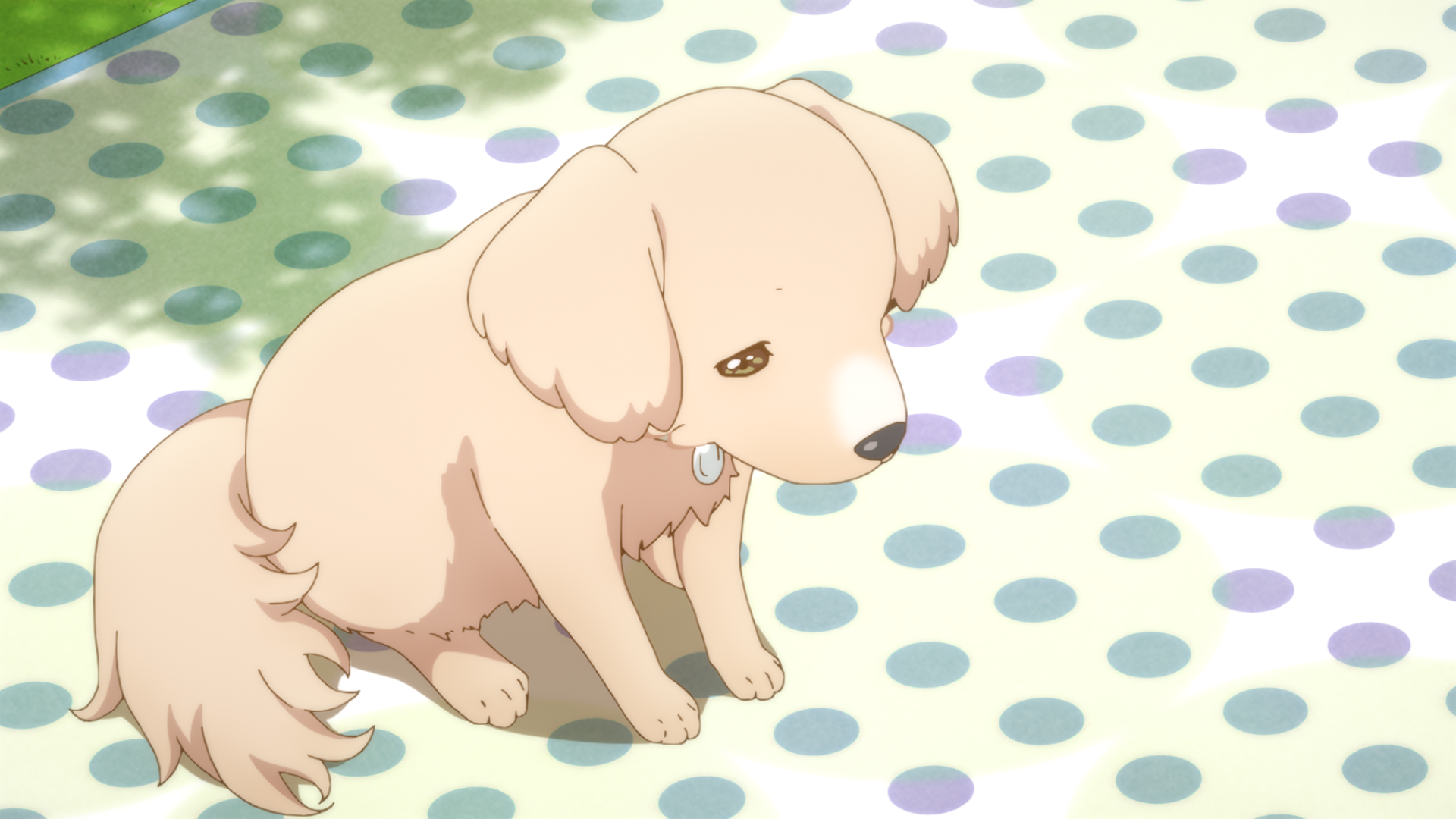  p>《甜梦猫》是以 a target="_blank" href="