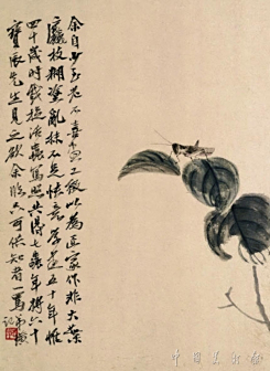 花卉草虫