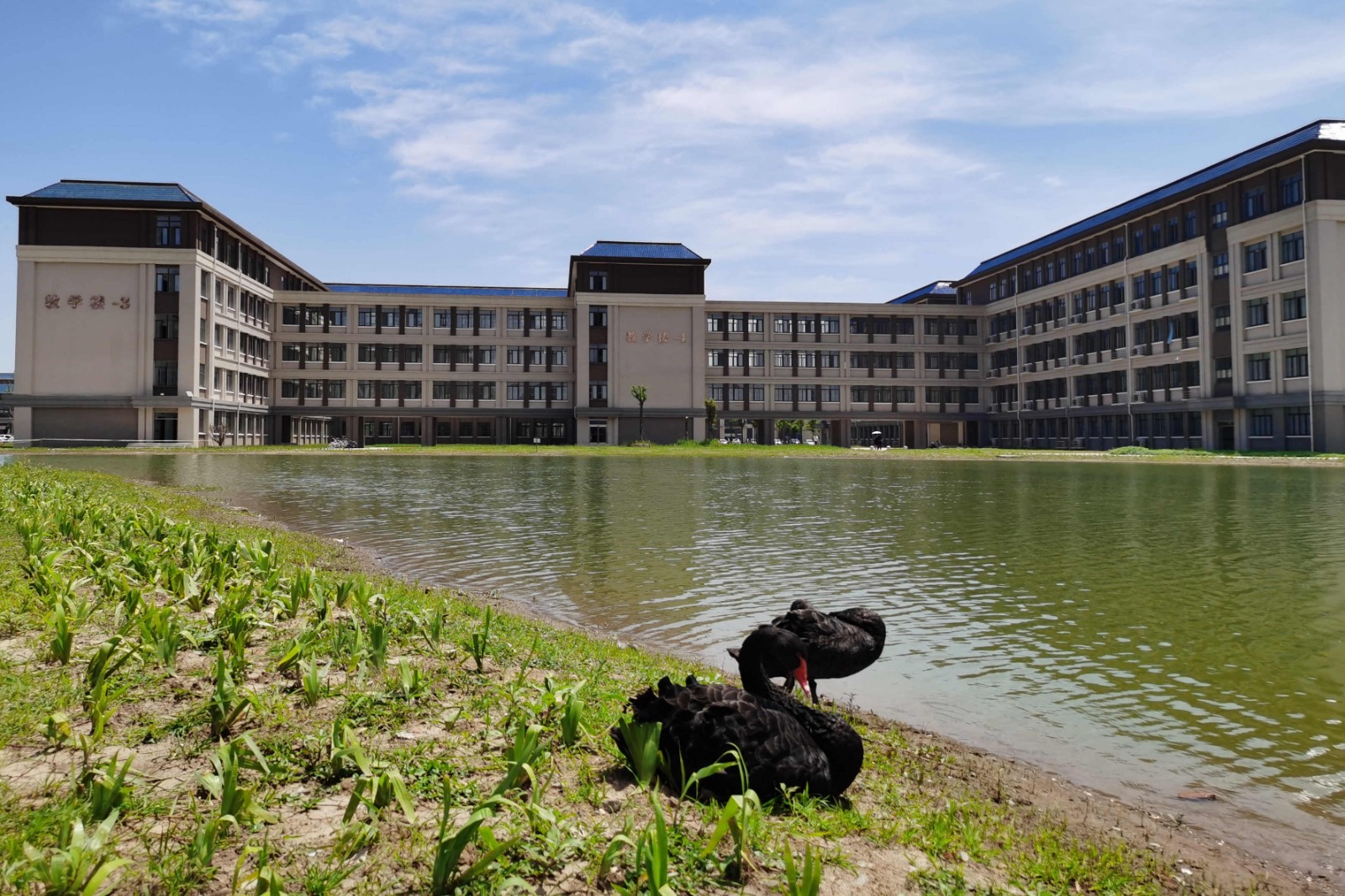 荆州学院