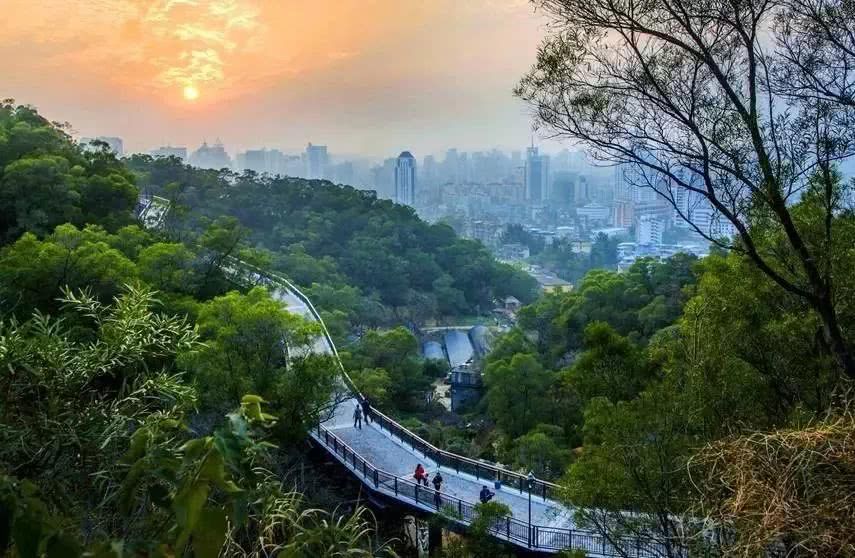 金鸡山森林公园