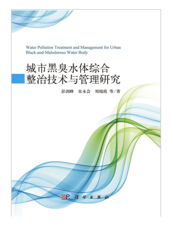 城市黑臭水体综合整治技术与管理研究
