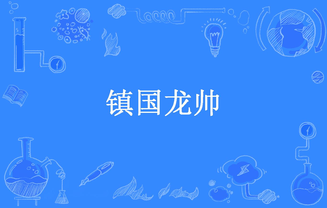 镇国龙帅