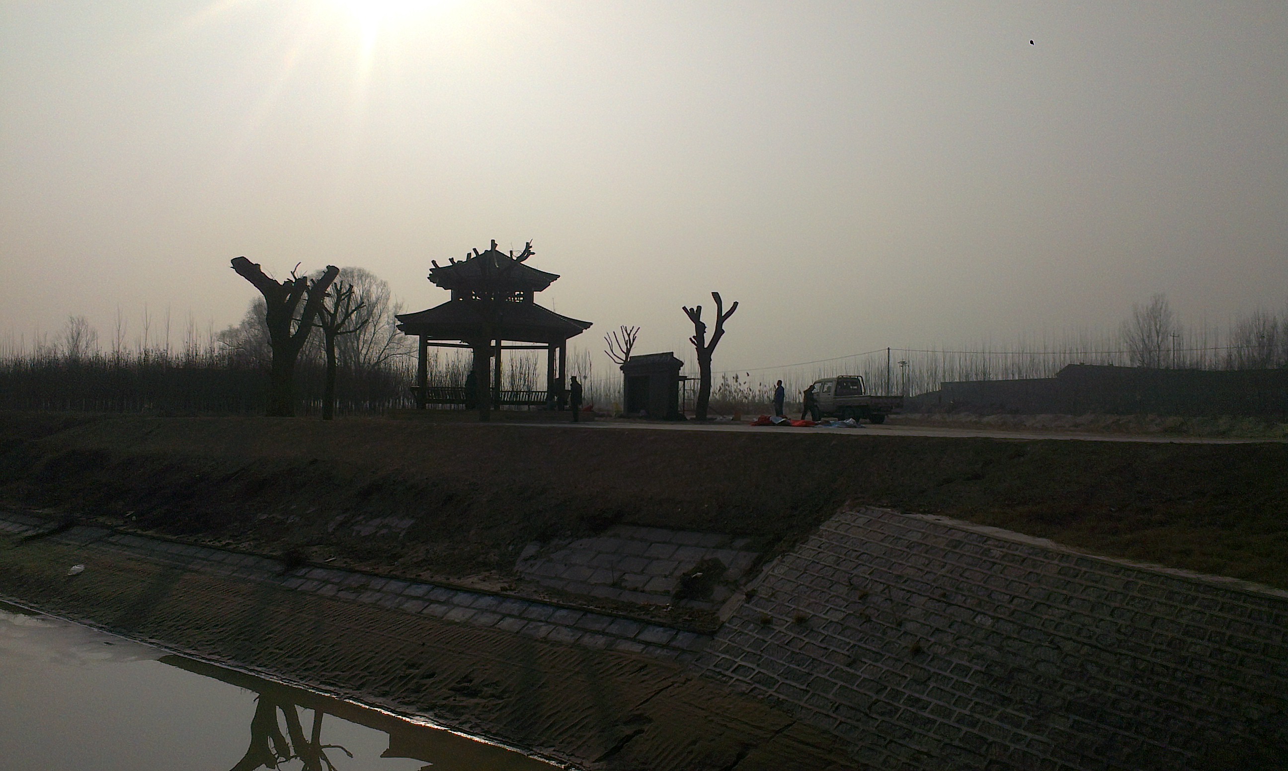 博兴打渔张森林公园