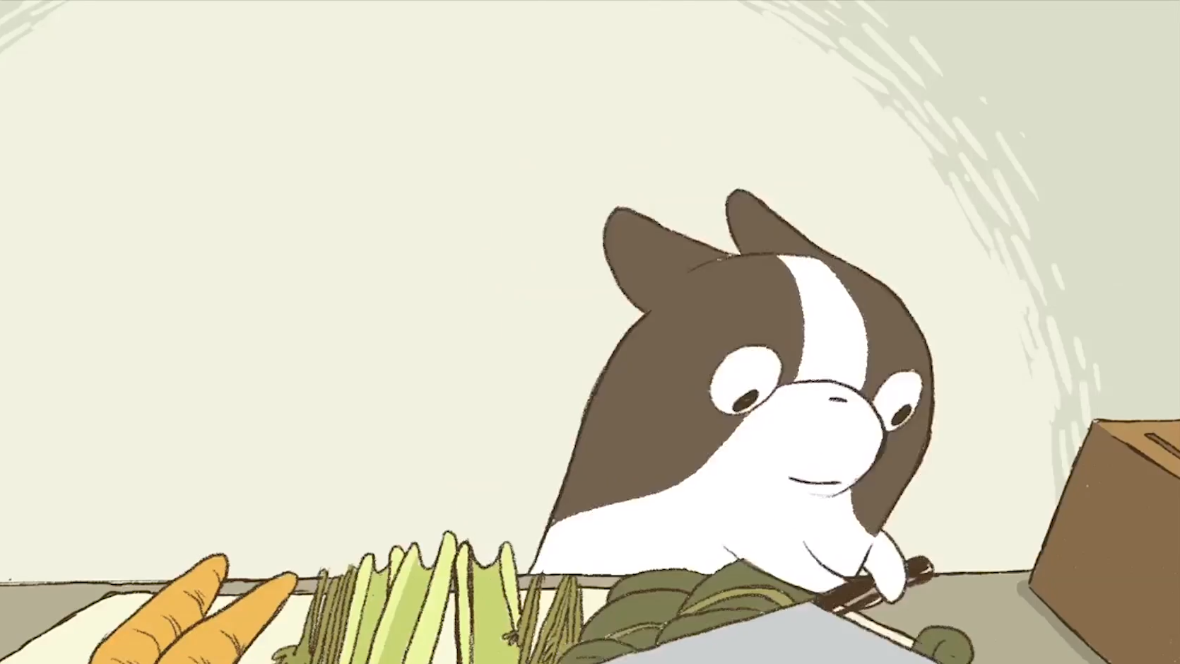 快速看完动画《煎蛋》#星知计划#