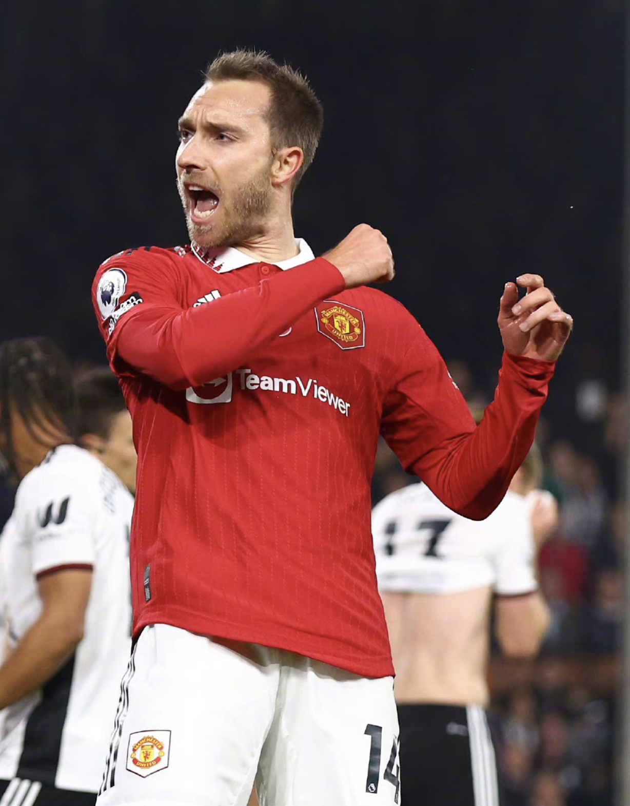 克里斯蒂安·埃里克森