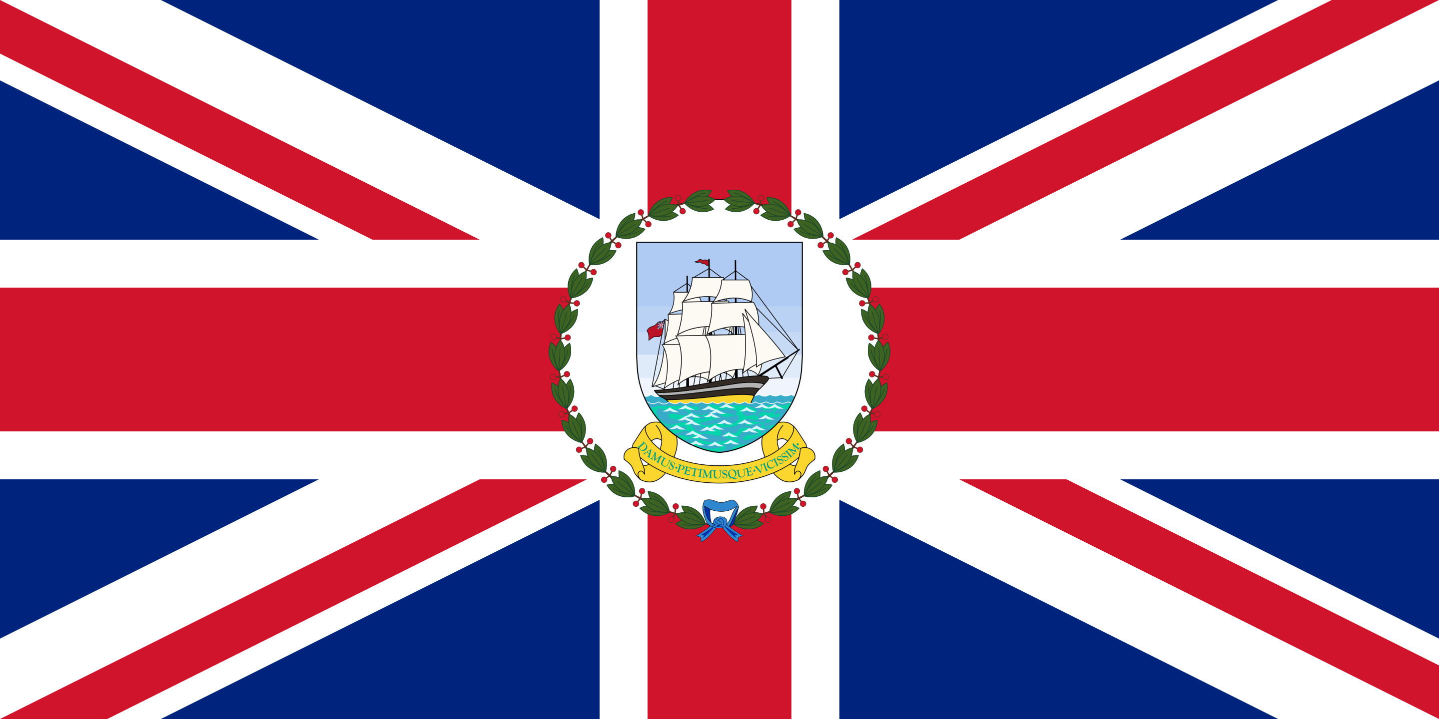 圭亚那合作共和国国旗