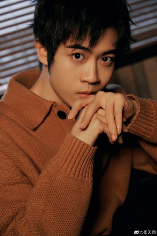 杨天翔（中国内地青年配音导演、配音演员，729声工场成员）_百度百科