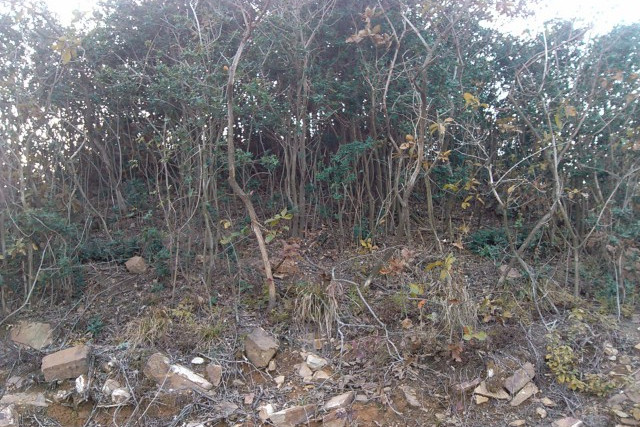  p>黄家山土墩墓群位于太湖西北岸,东距无锡县境的鸡笼山5公里,北距潘