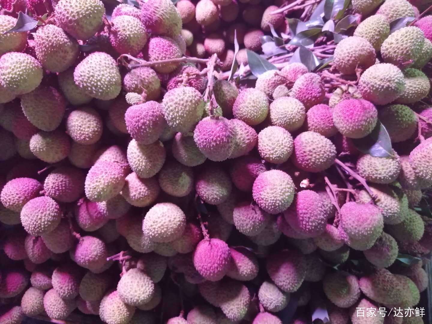 中国荔枝哪里最出名？中国荔枝哪里好吃最多，中国荔枝之乡_百科TA说