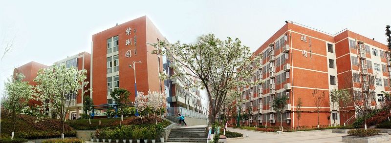  p>绵阳外国语实验学校,是 a href="#">绵阳 /a>教育投资发展公司与