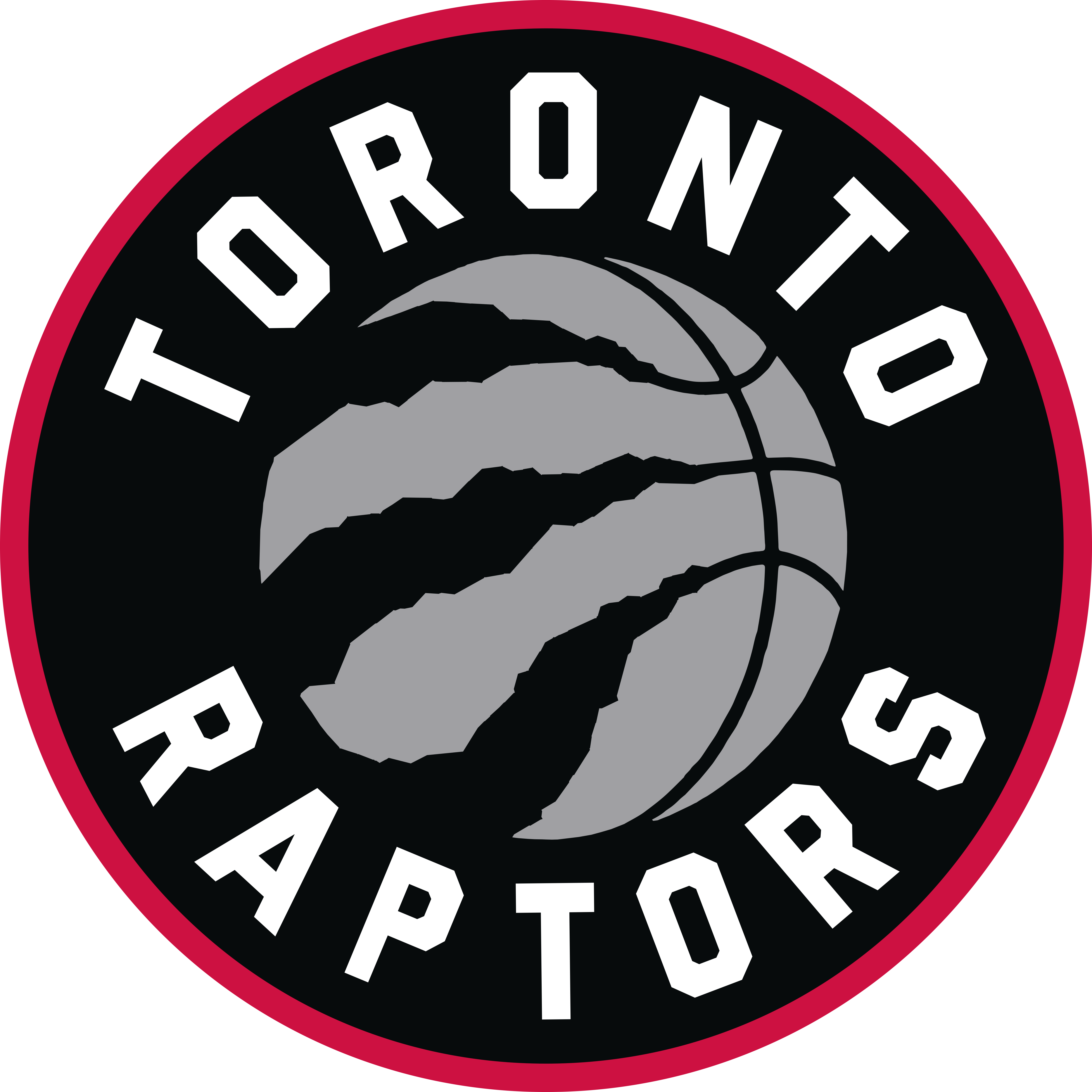  p>多伦多猛龙队是nba最年轻的球队之一,于1995年成立并在1995-1996