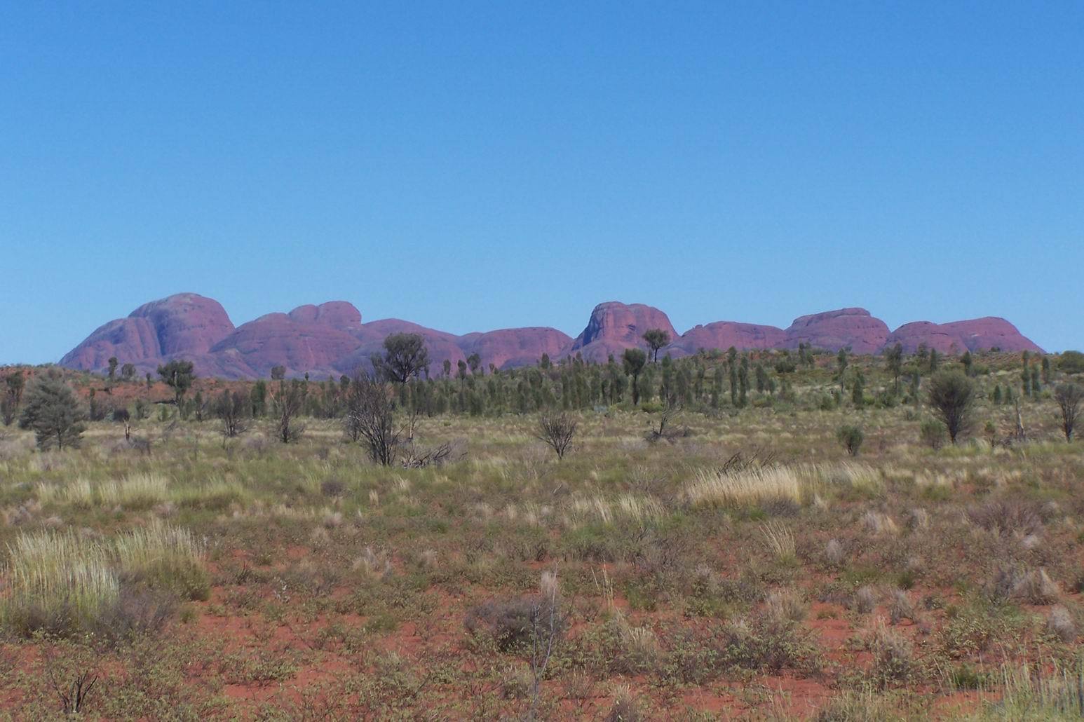 weather in the tropical zone desert