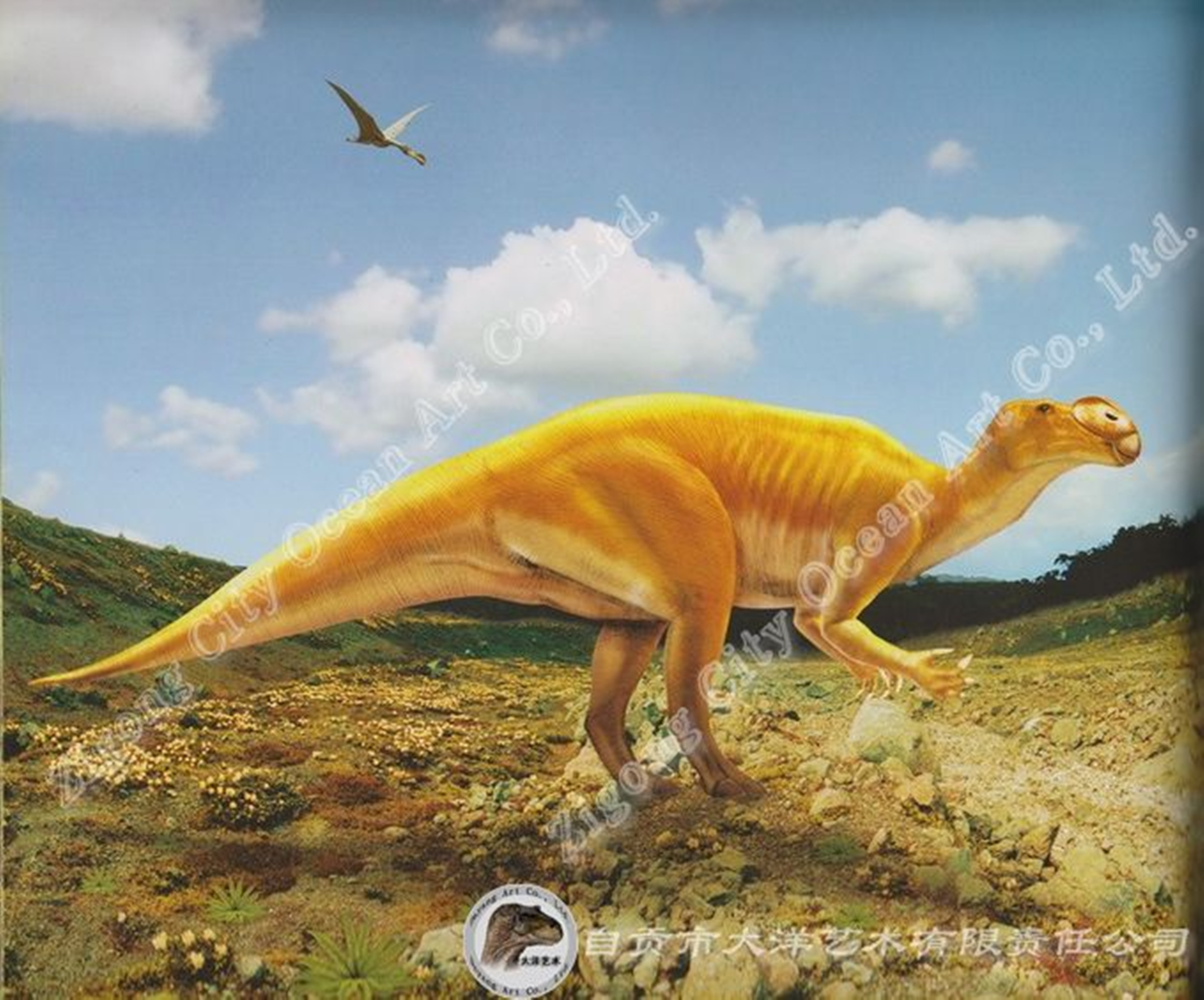 穆塔布拉龙(muttaburrasaurus)