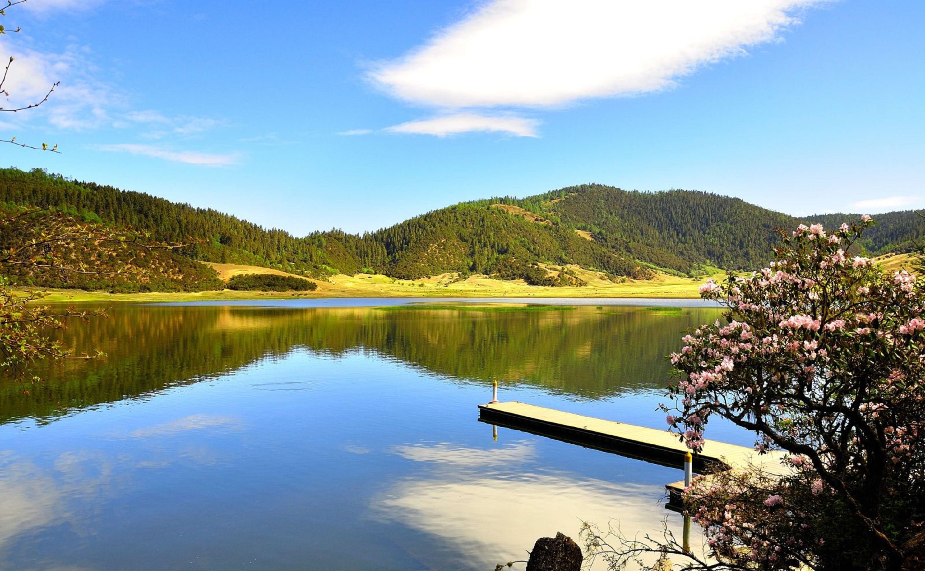 迪庆州香格里拉普达措景区