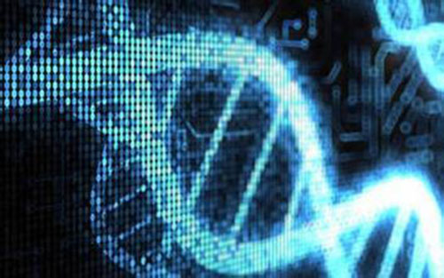  p>博那病毒(borna disease vires,简称:bdv),又称博尔纳病毒,是一种
