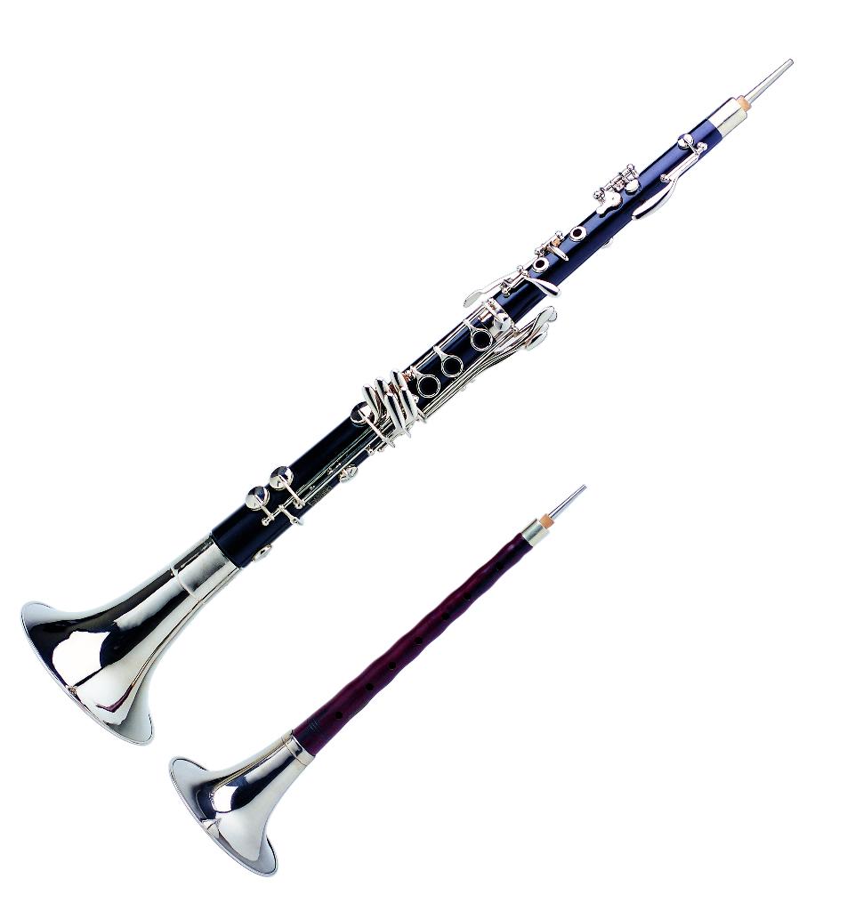 307159" data-lemmaid="307159">唢呐 /a> /i> i>的改良型乐器 /i>