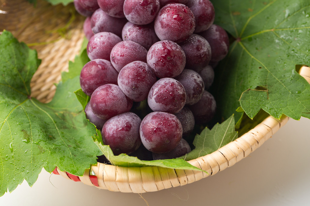 葡萄