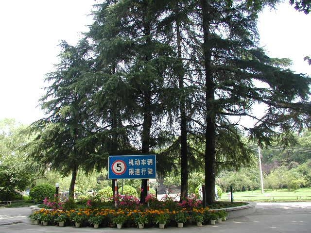  p>五棵松,地名,位于北京 a target="_blank" href="/item/西四环