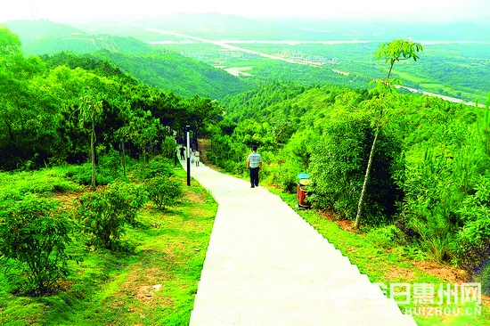 飞鹅岭森林公园