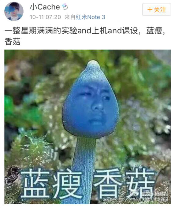 "蓝瘦,香菇"是指"难受,想哭"的意思.2016年火爆朋友圈