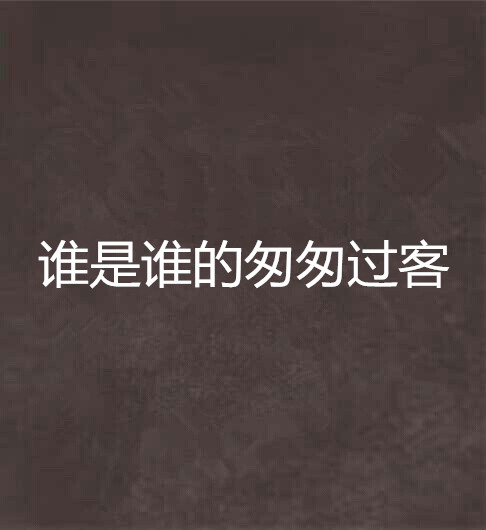 谁是谁的匆匆过客