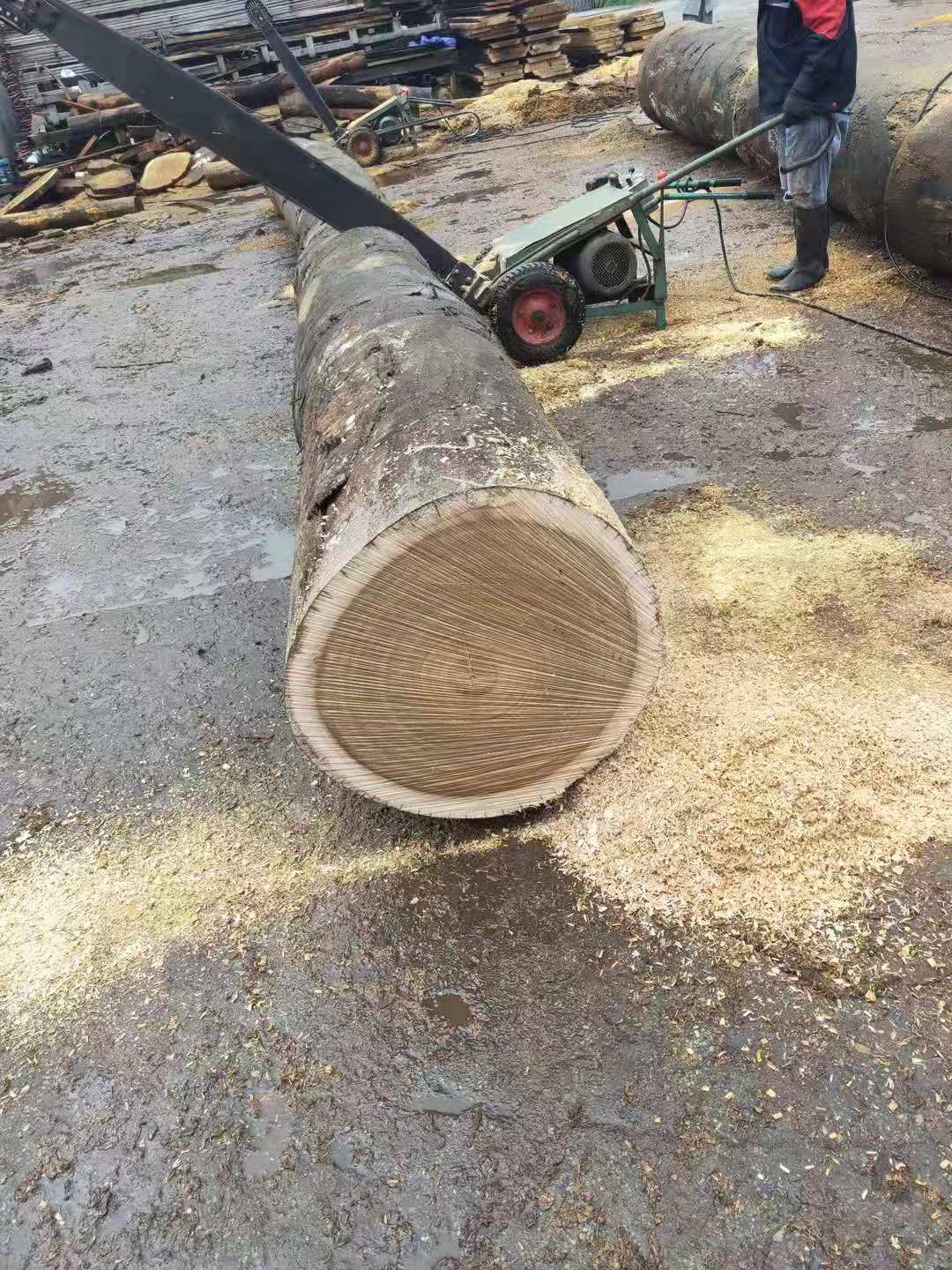  p>黑檀,别名:乌木,黑紫檀;拉丁文名:dalbergia melanaoxylon guill&