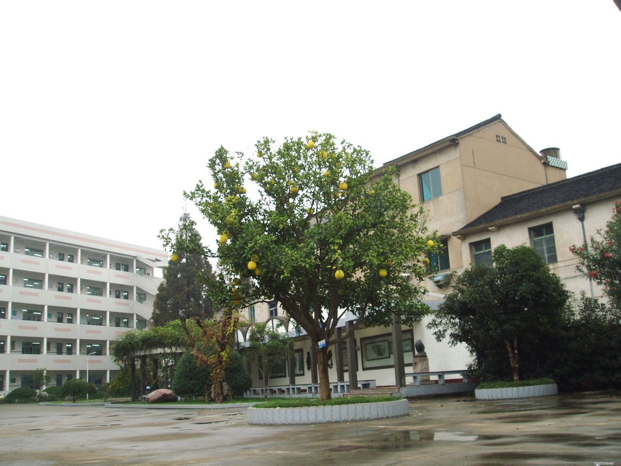 嵊州市黄泽中学