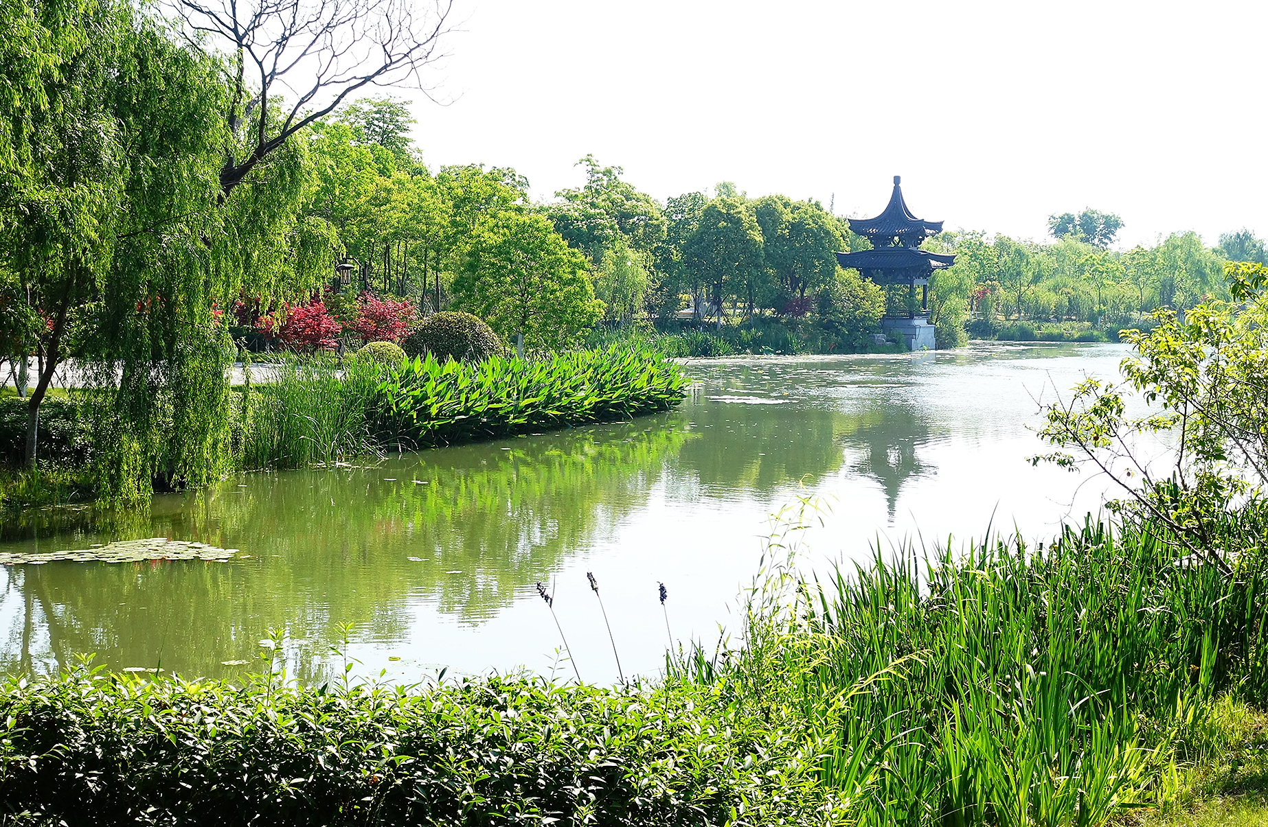 西溪旅游文化景区