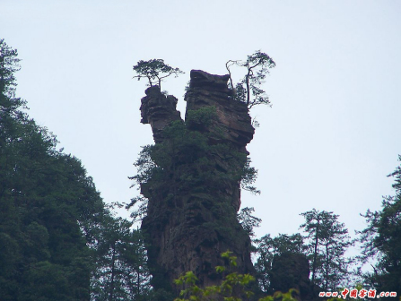 张家界风景（三）