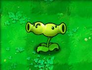 pvz