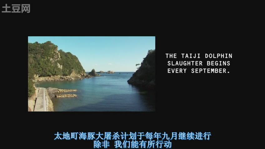 海豚湾