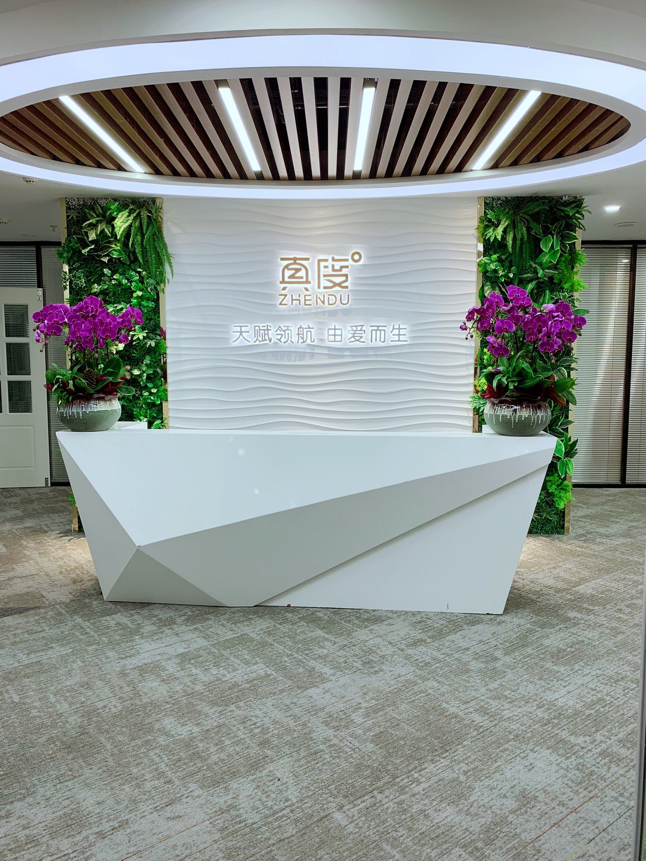 杭州旅游资讯公司(杭州的旅游公司集中地在哪儿)
