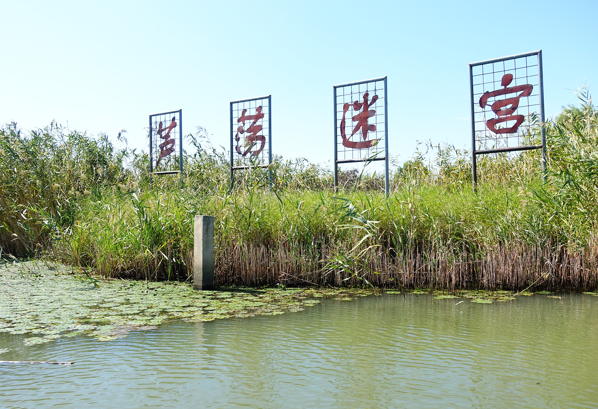  p data-id="gnyxk0rdy6">大纵湖芦荡迷宫位于该湖西北部,芦苇迷宫一