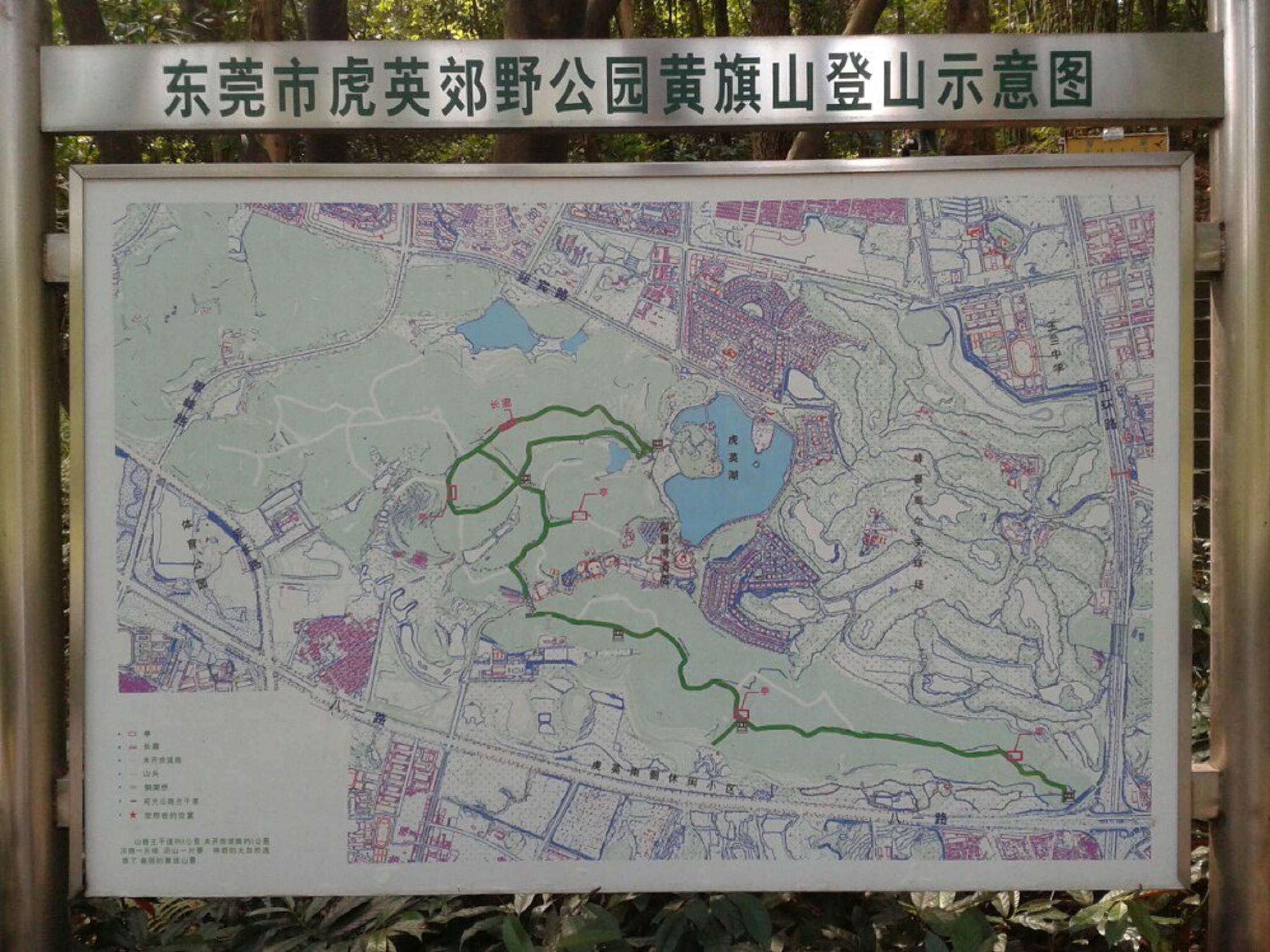 虎英郊野公园