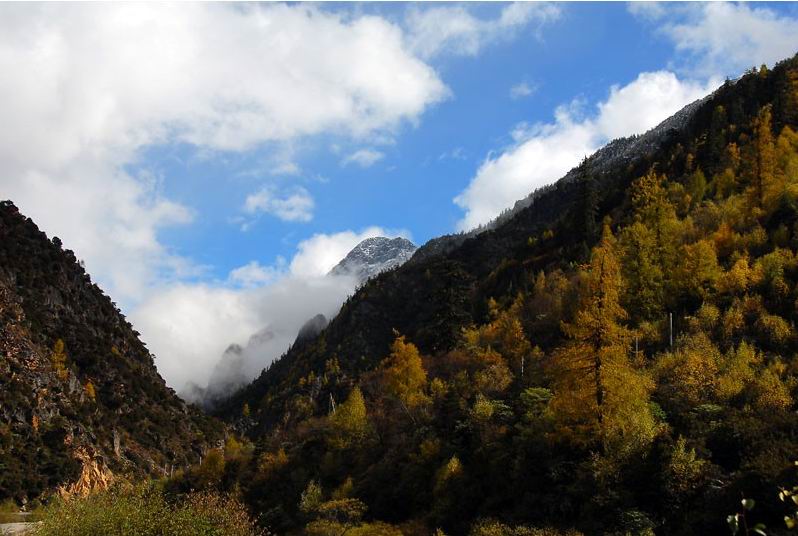  p>吉卡乡,隶属于青海省果洛藏族自治州班玛县,地处 a target="_blank