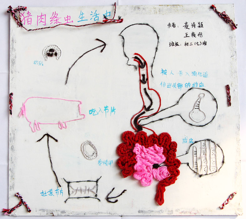 data-id="gnx5y5cnrs"> a target="_blank" href="/item/链状带绦虫