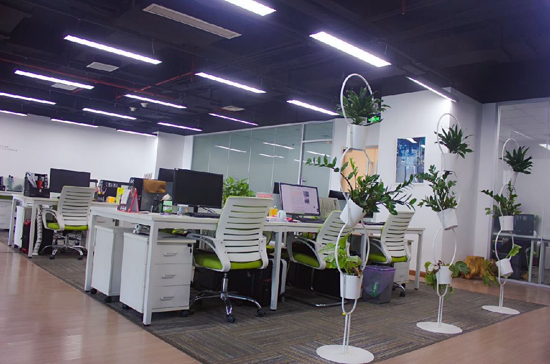 策划,文化艺术交流活动策划,体育信息咨询,文化信息咨询,企业形象策划