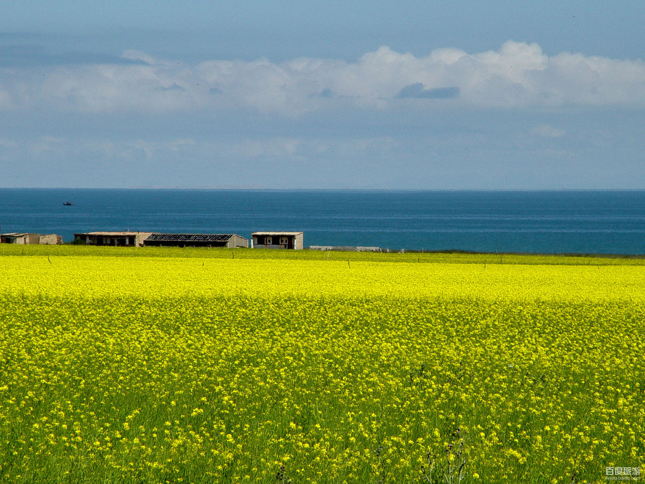  p>青海省,简称" a target="_blank" href="/item/青/49720480" data