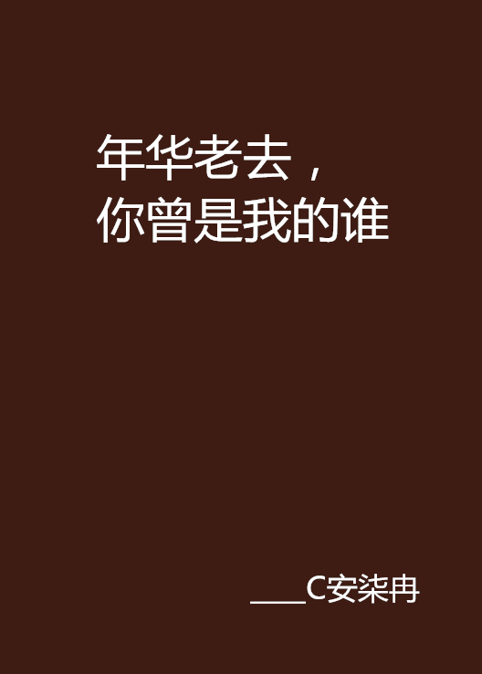 年华老去,你曾是我的谁