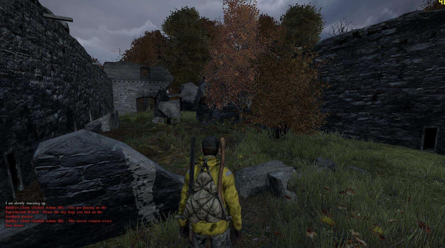 dayz mod